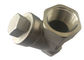 Filtro de aço inoxidável NPT de SS316 Y/filtro de malha fácil substituição de BSP/BSPT fornecedor